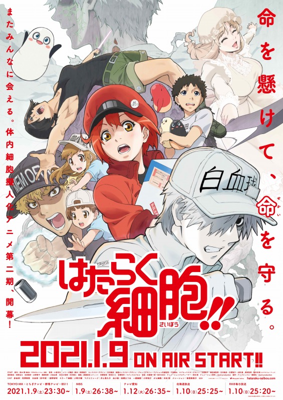 TV動畫『工作細胞!!』PV第2彈・OP主題歌・BD第1卷情報公開，2021年1月9日放送開始.jpg.jpg