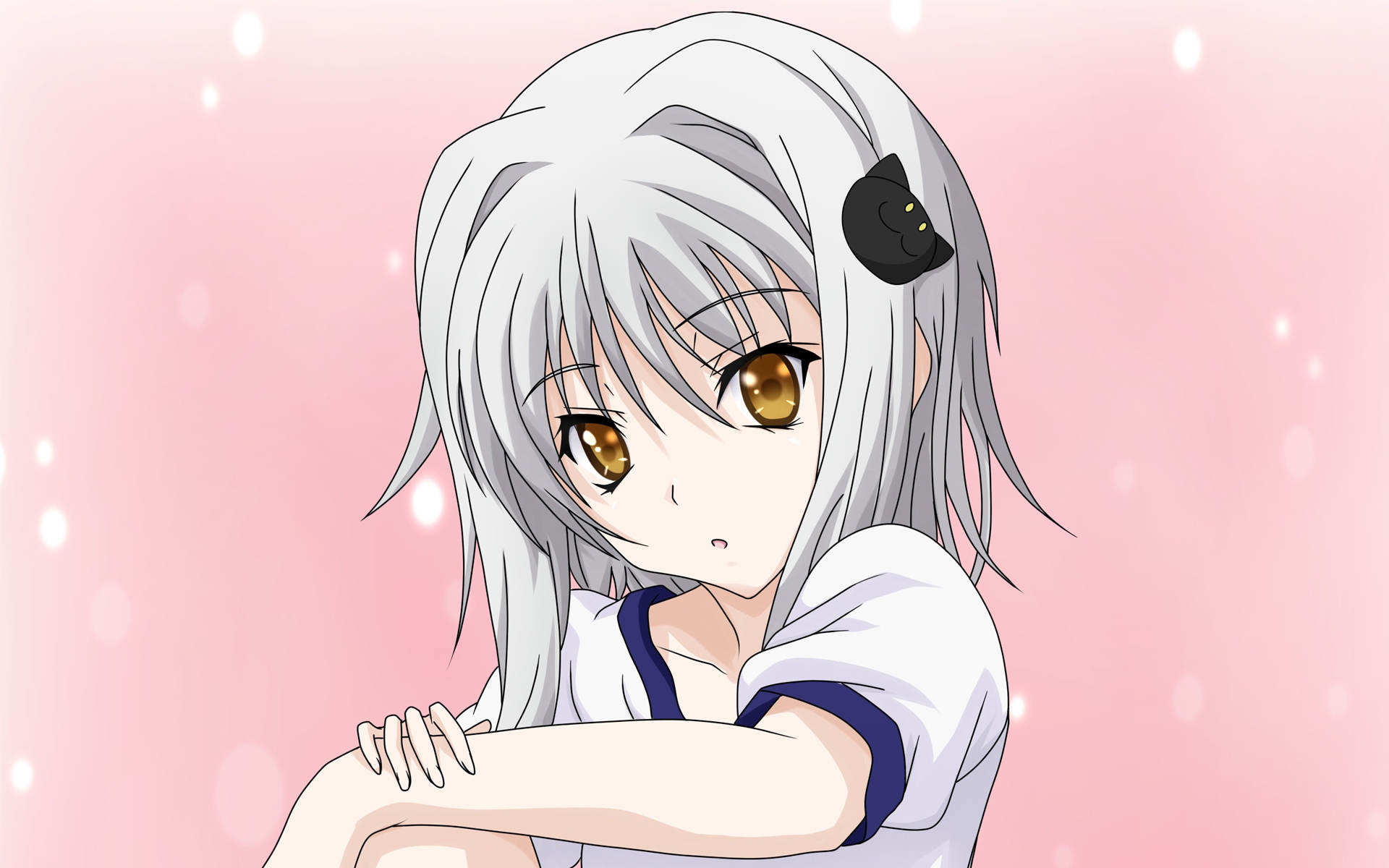 konachan 134327 highschool_dxd orange_eyes toujou_koneko white_hair.jpg